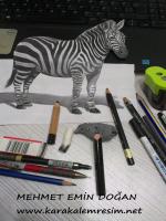 karakalem 3d yani üç bouytlu çizdiği at çalışması masamdayken çektim.zebra